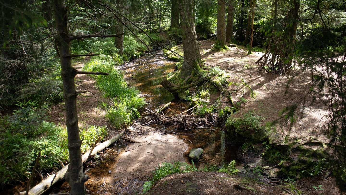 der Schwarzenbach durchfließt den Sandsee