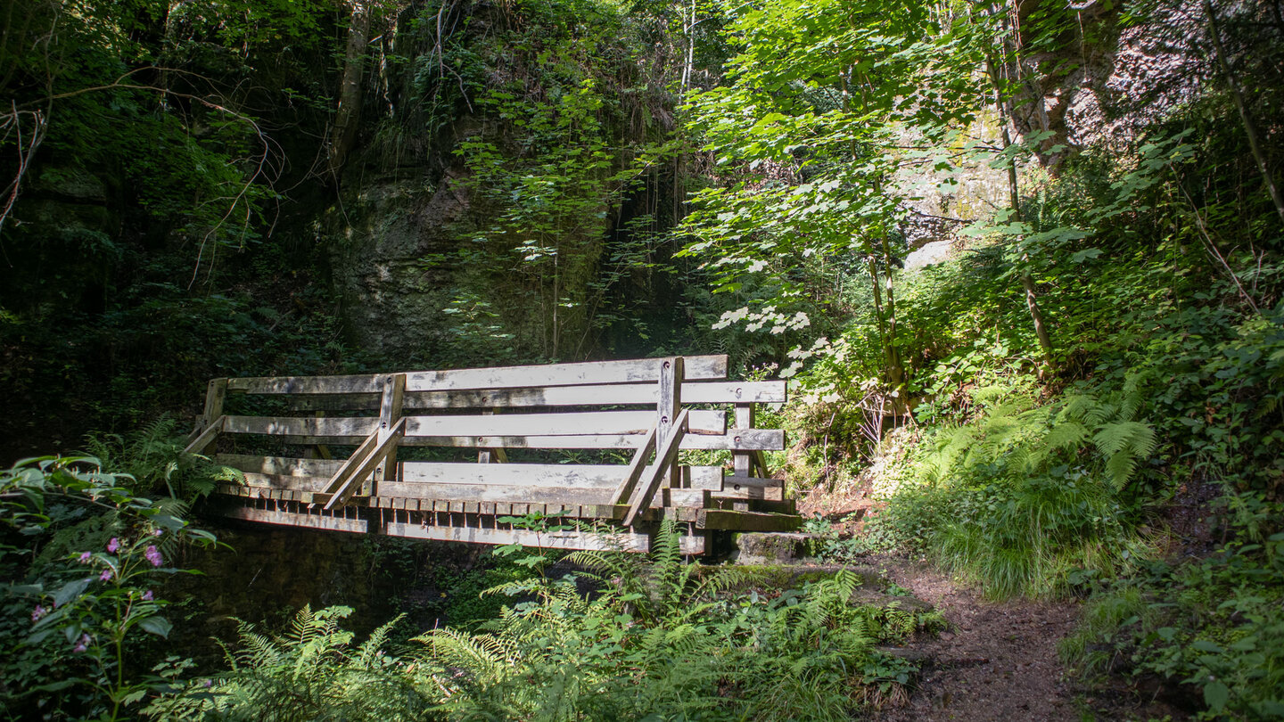 der Wanderweg quert den Beerbach über eine Brücke