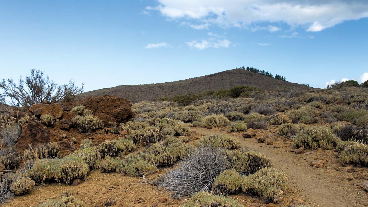 Vulkankegel des Montaña Negra in der Landschaft der Cañadas del Teide