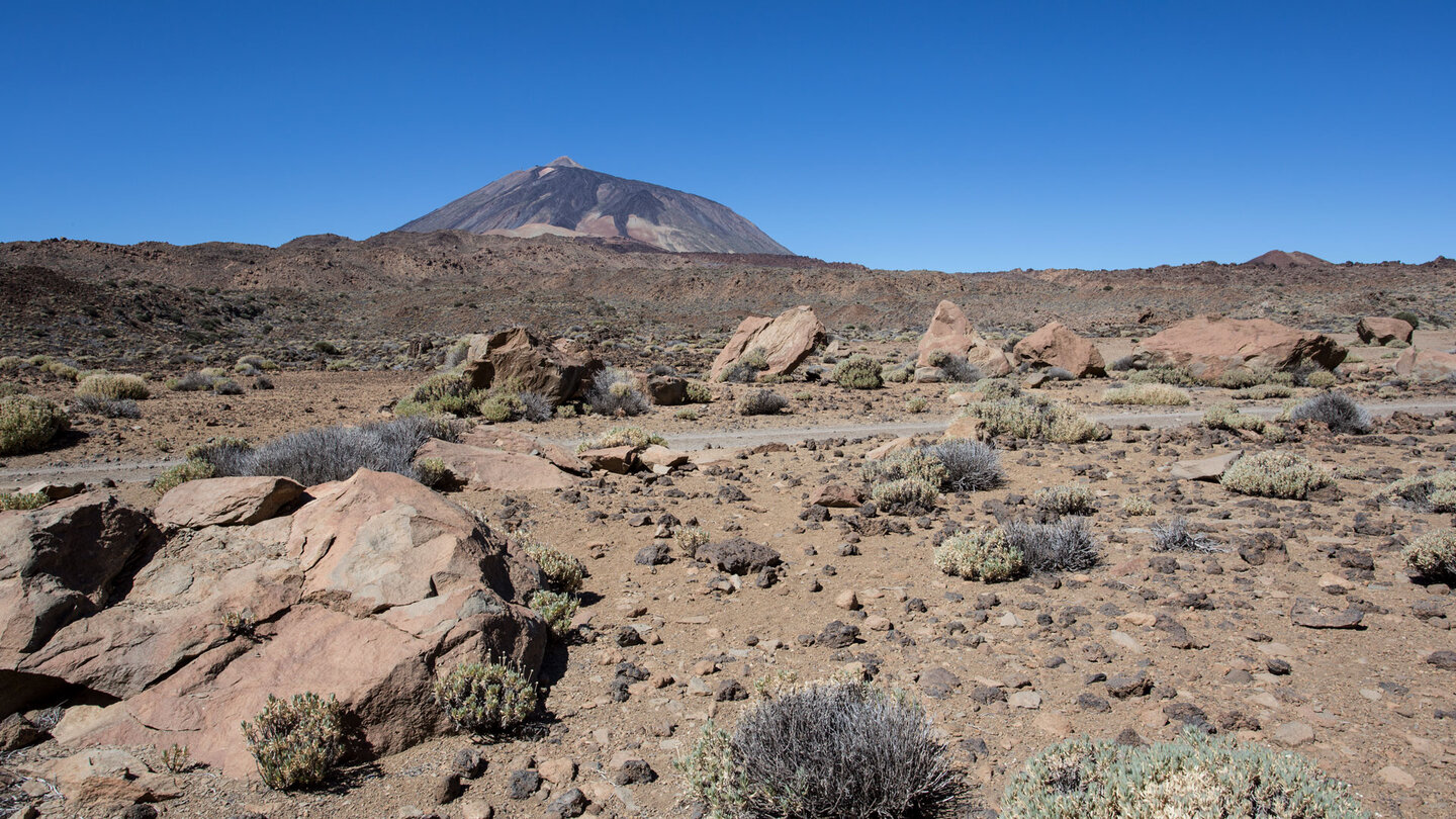 Blick aufs Teide-Massiv von der Cañada de las Pilas