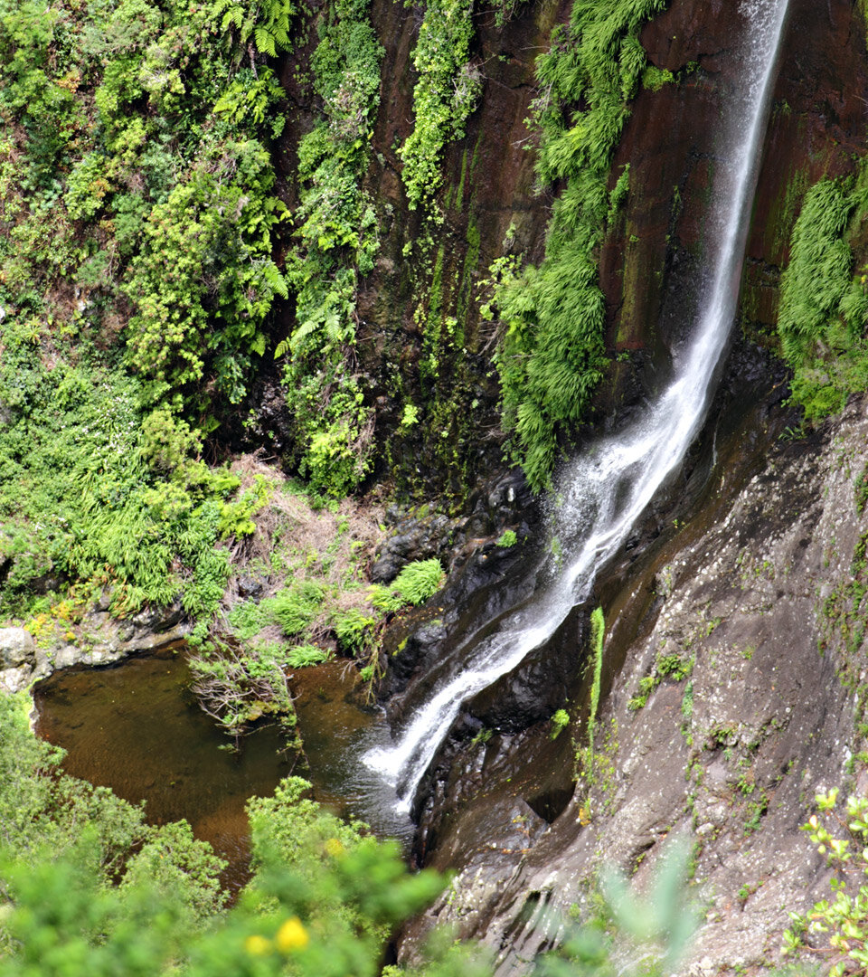 das Becken des Wasserfalls El Chorro del Cedro auf La Gomera