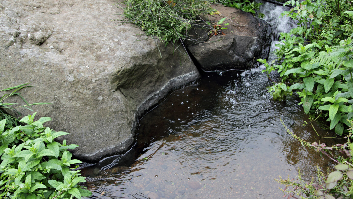 kristallklares Wasser am El Chorro del Cedro auf La Gomera