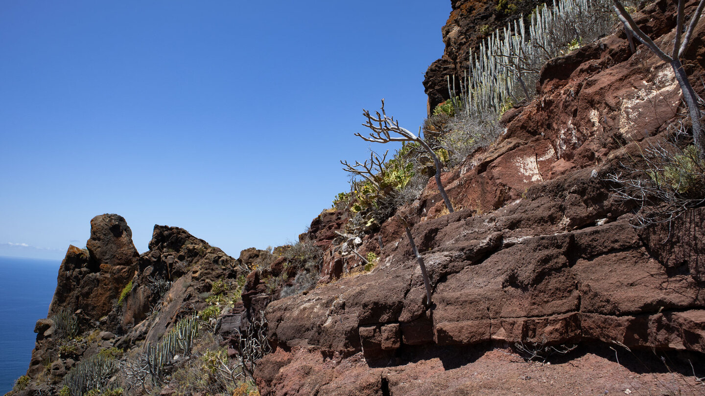 mit Sukkulentenvegetation besiedelte Felsformationen am Wanderweg