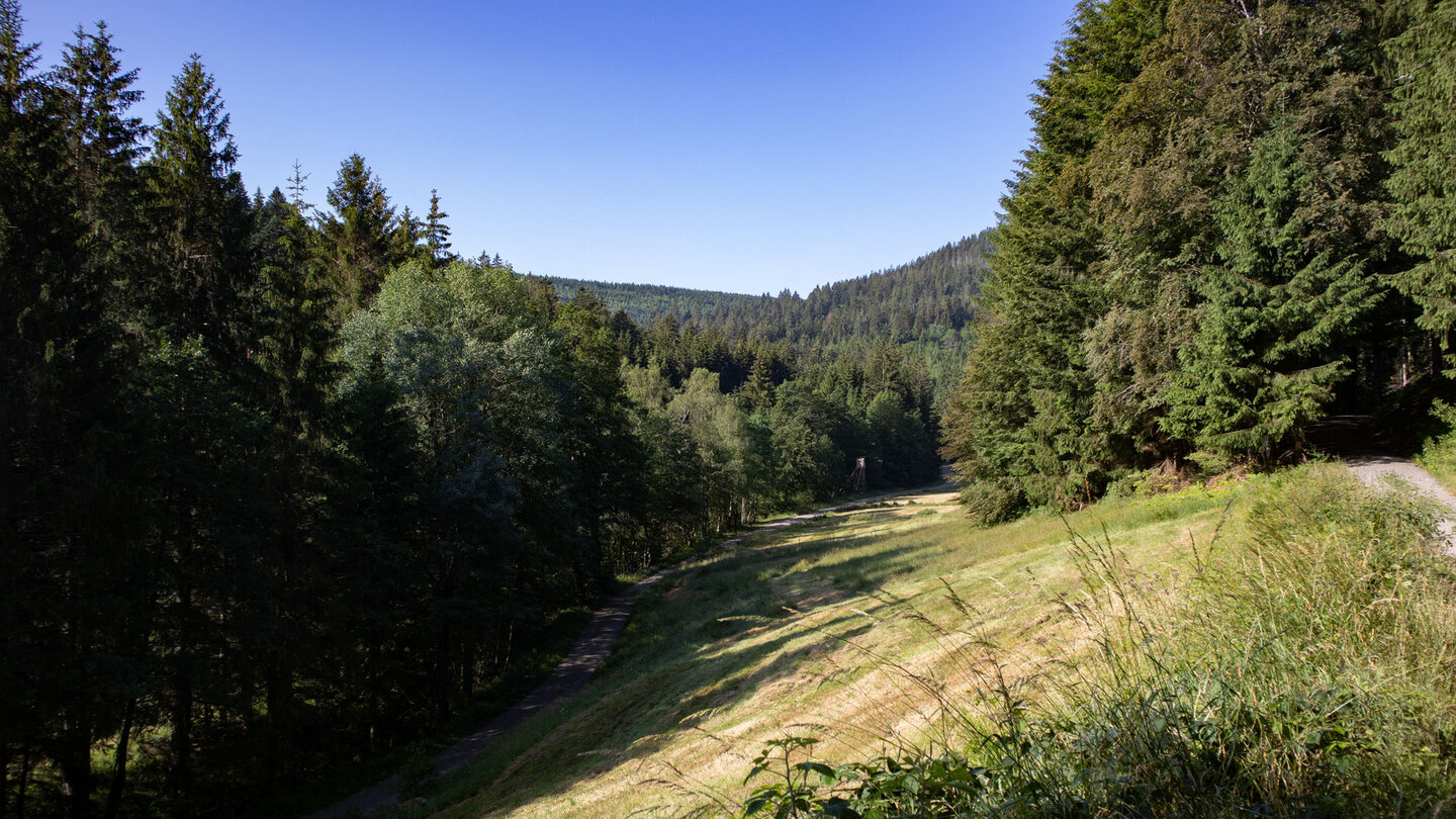 Wanderweg entlang des Bösen Ellbach bei der Hinteren Breitmiss