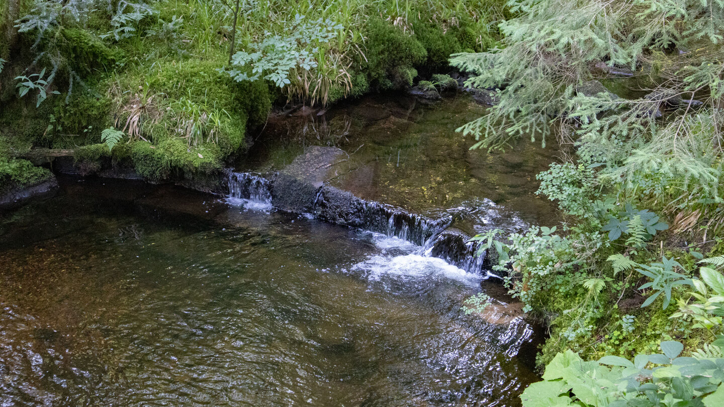 künstlich angelegte Stufen im Bachlauf des Bösen Ellbach