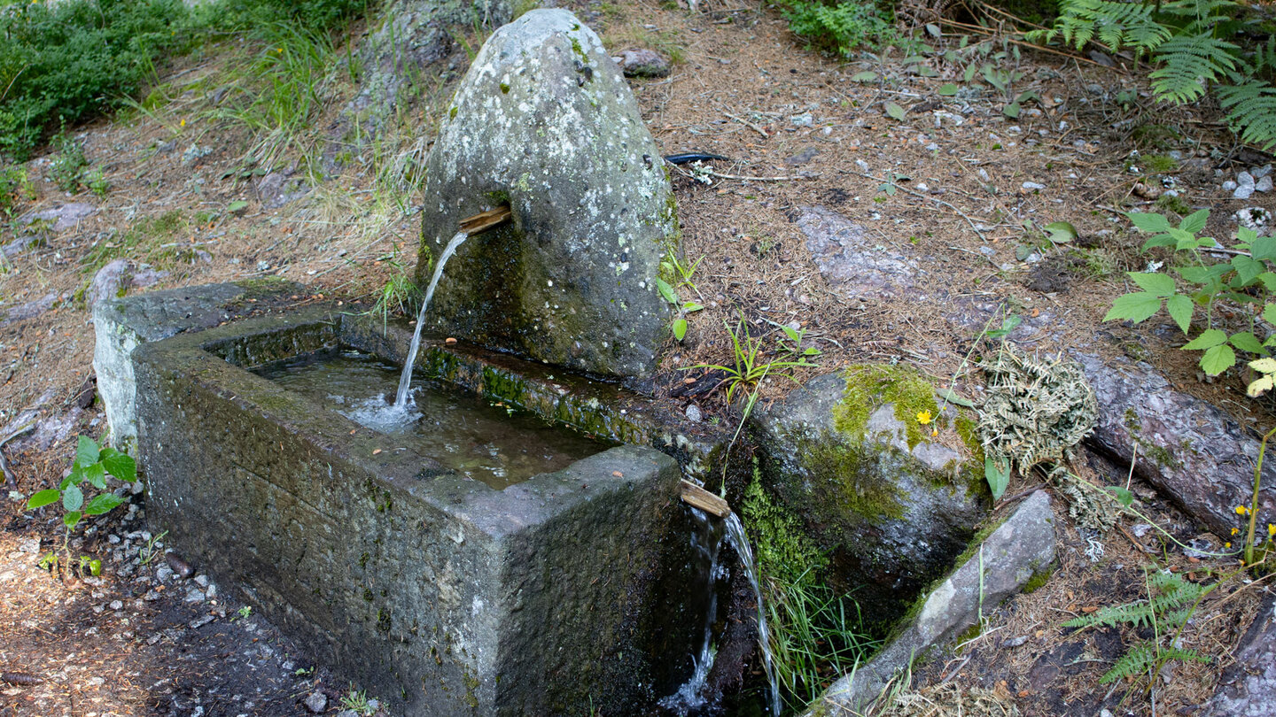 der Weinsteig Brunnen