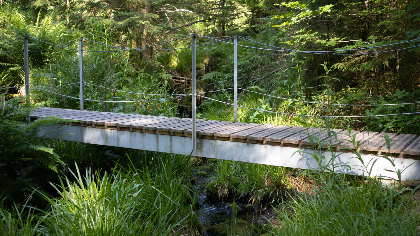 Brücke über den Bösen Ellbach