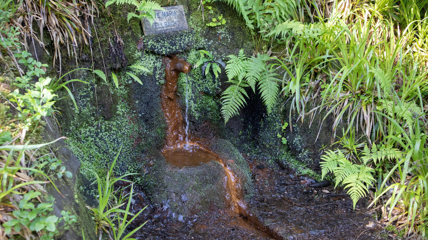 Sauerbrunnen