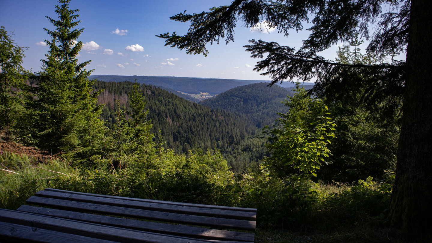 Aussichtspunkt mit Blick ins Bösellbach-Tal