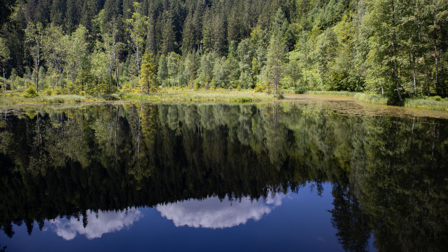 Blick über den Ellbachsee