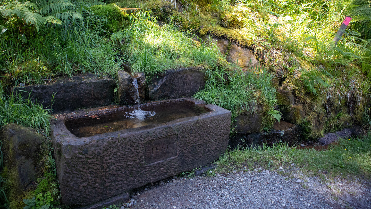 Brunnen am Seehaldenweg