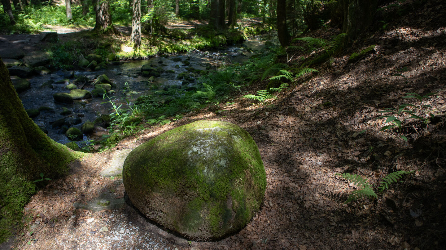 der Bachlauf des Guten Ellbach