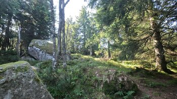 Felsen am Wanderweg beim Lac Blanc