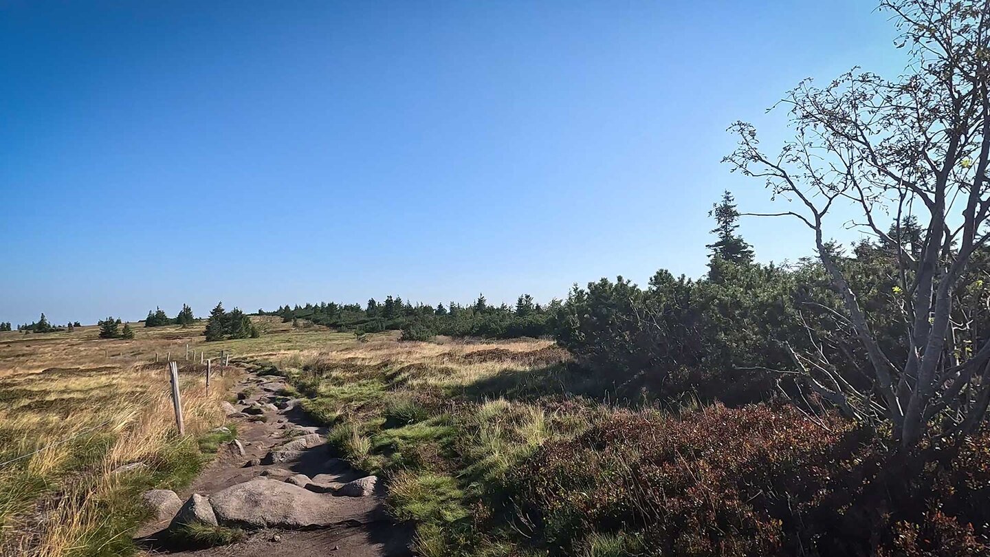 Wanderroute über die Hochebene Hautes Chaumes