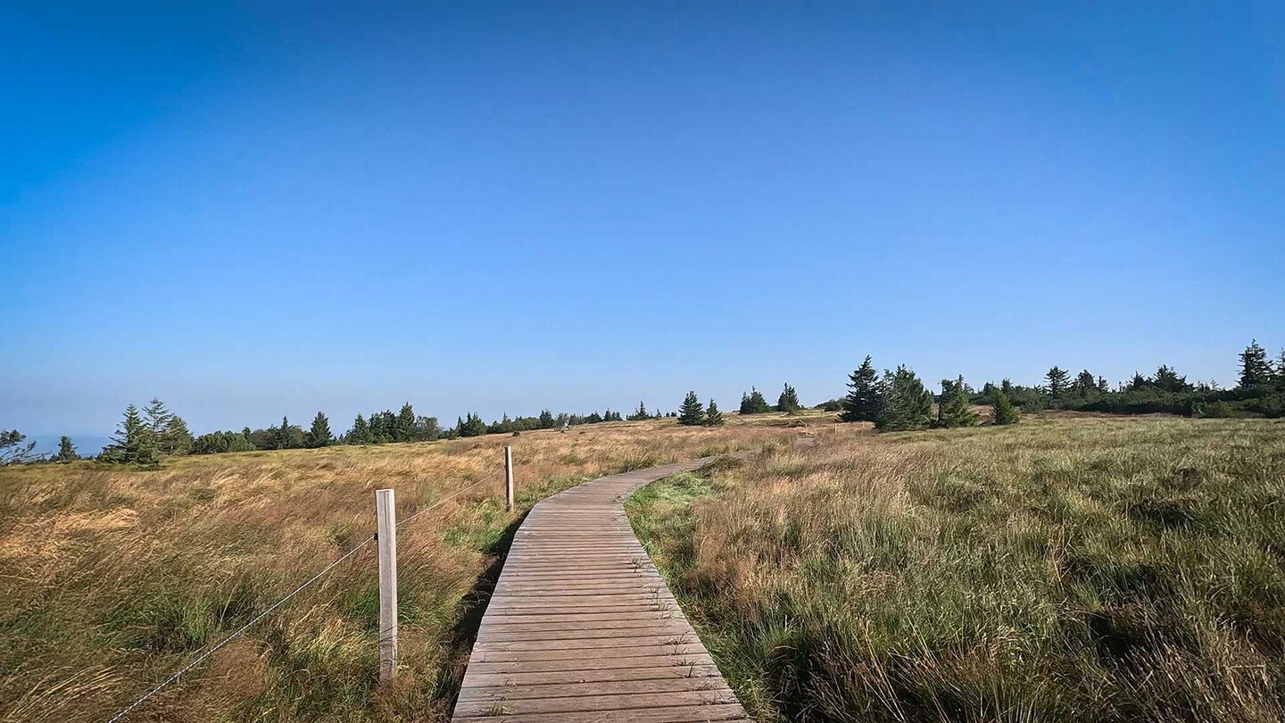 Bolenweg übers Hochmoor am Gazon du Faing