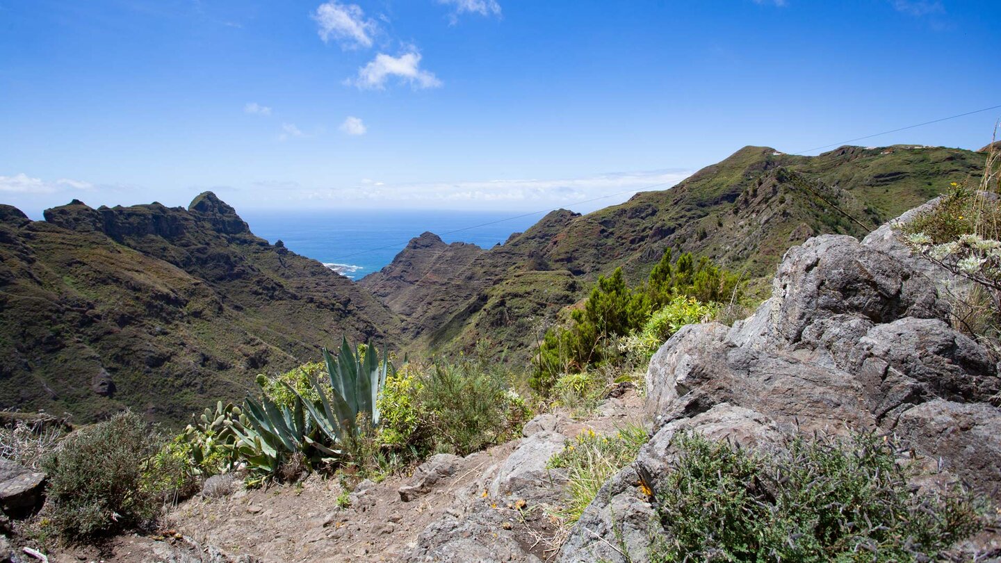 Wanderung über Pfade nach Punta del Hidalgo