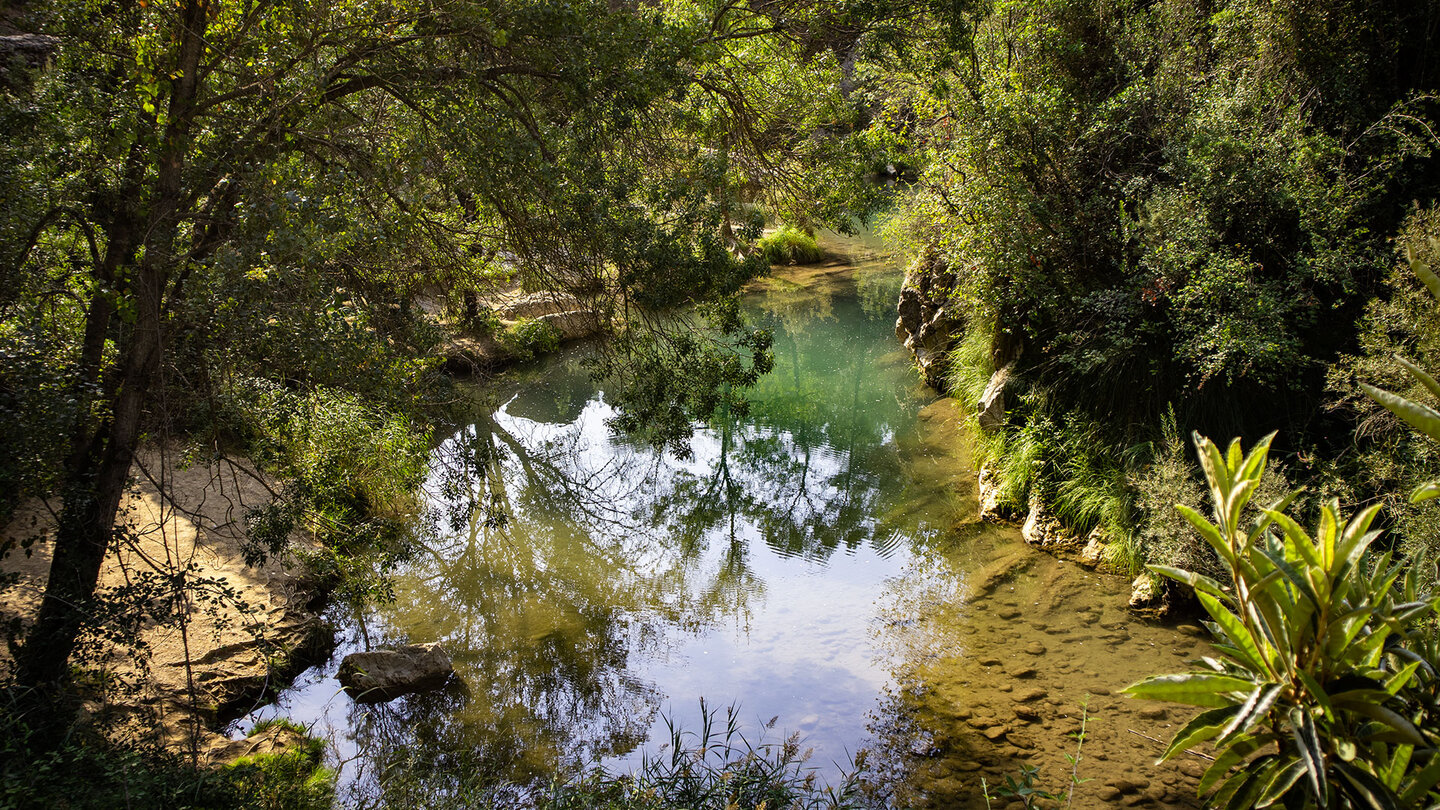 klares Gewässer des Río Borosa