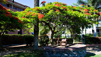 alter Brunnen im Parque de la Torre del Conde in San Sebastián de la Gomera