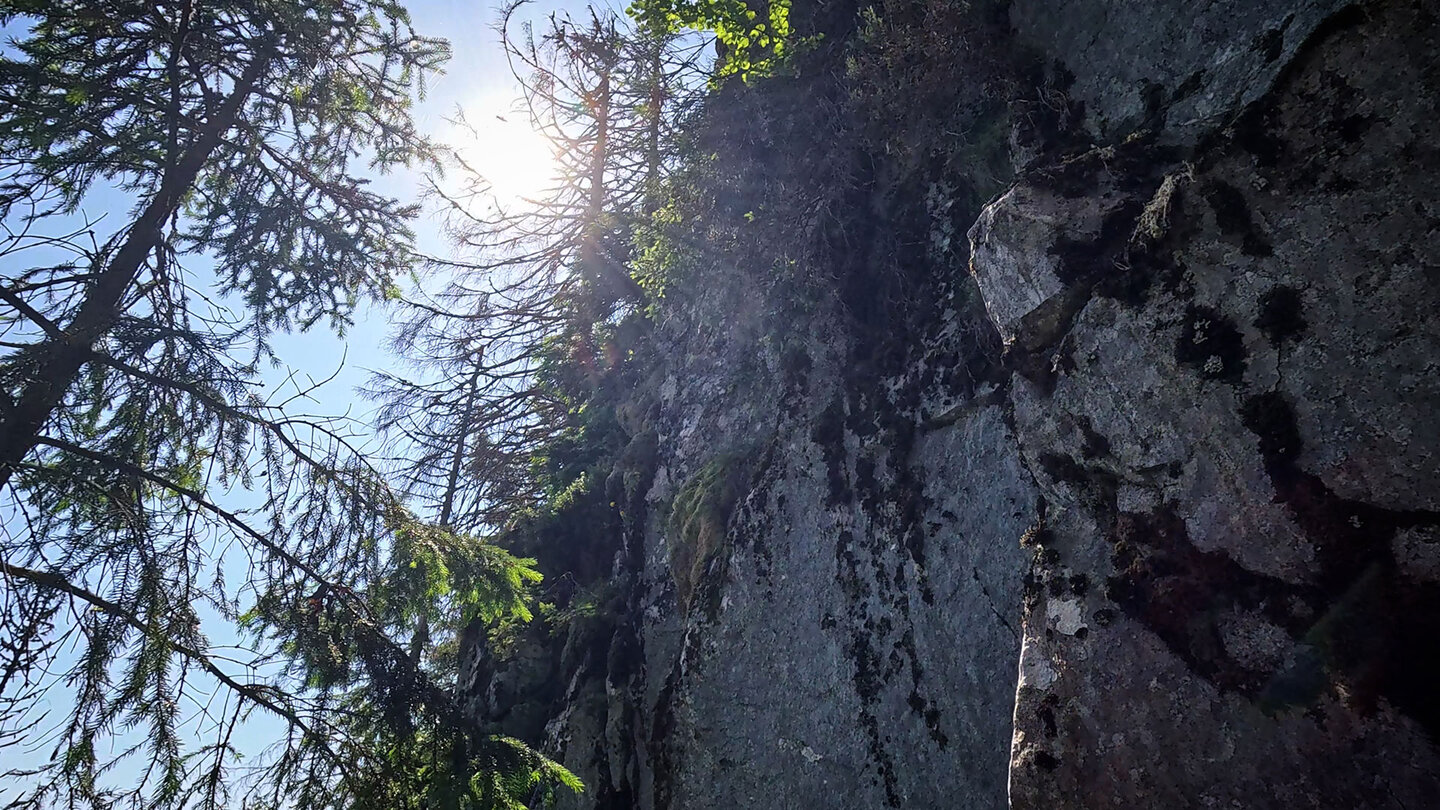 Felswände am Sentier des Roches in den Hochvogesen