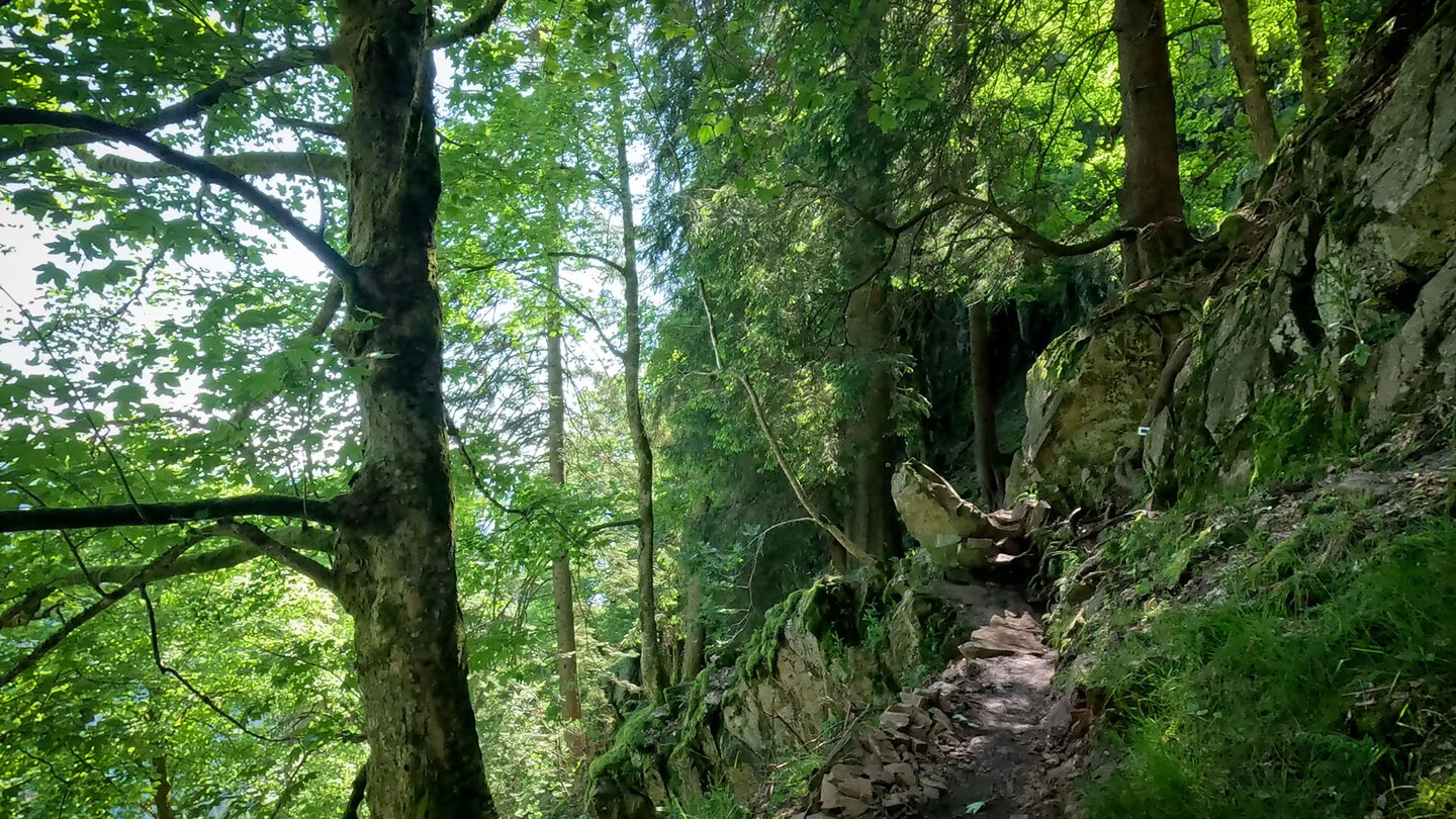 Felsen und Wälder entlang des Wanderpfads Sentier des Roches