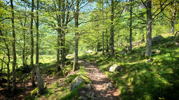 Die Route durch das Schutzgebiet Réserve Naturelle du Frankenthal-Missheimle