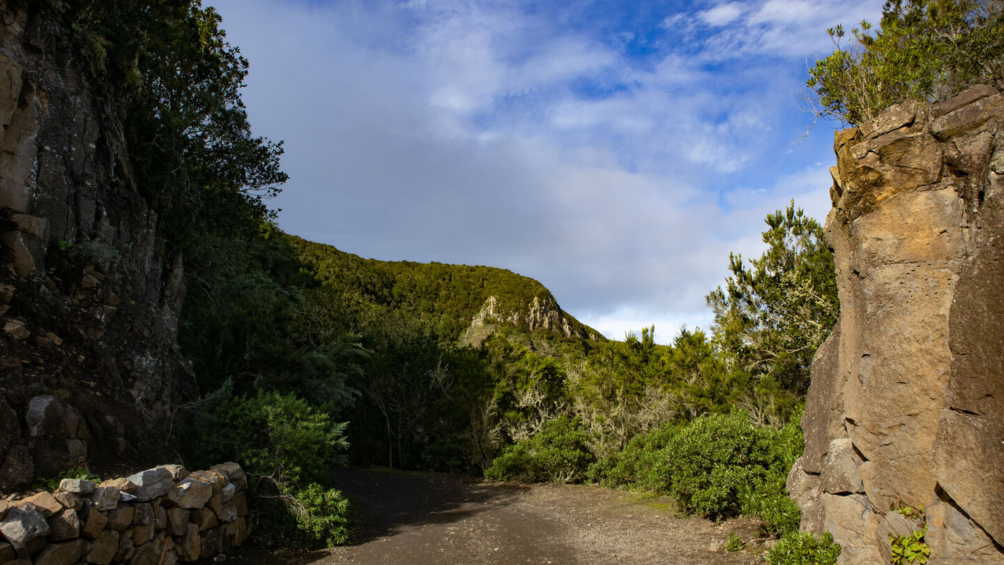 Route durch den Lorbeerwald des Teno-Gebirges