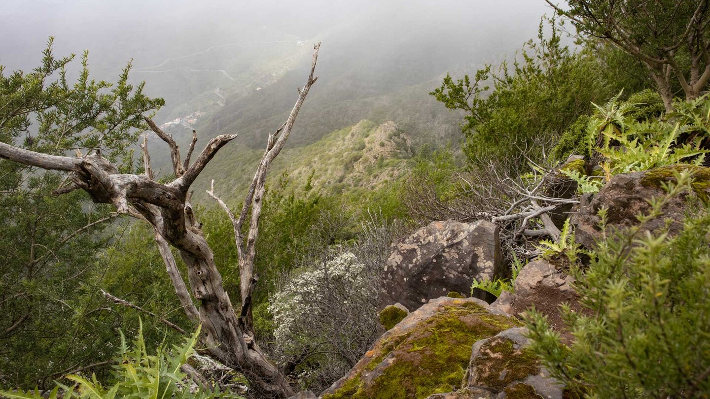 Wolken über der Masca-Schlucht