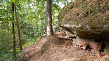 Wanderpfad entlang der Felsformationen Hexenpilz und Satansbrocken