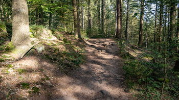 Licht-und Schattenspiel entlang der Wanderroute zum Großen Hals