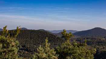 Fernblick vom Schweinsfelsen bis zur Burg Trifels