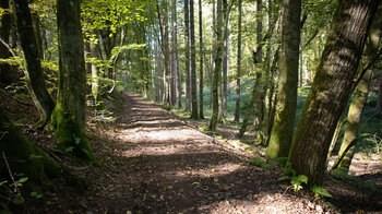 idyllischer Wanderweg am Klingbach