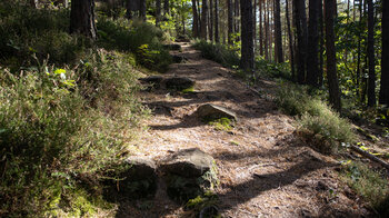 Wanderung über den Felsenweg Gossersweiler-Stein