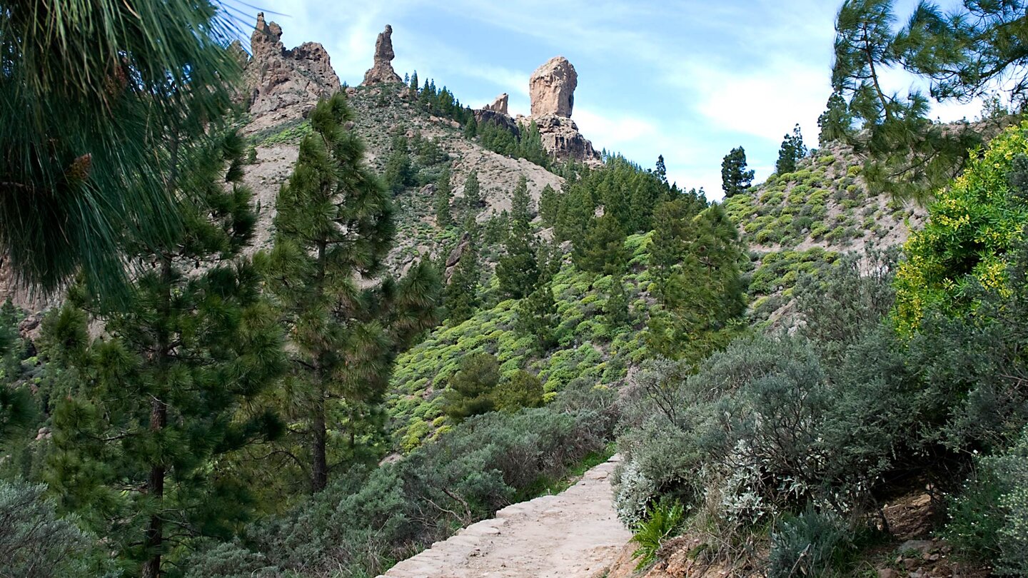 Wanderweg zum Roque Nublo auf Gran Canaria