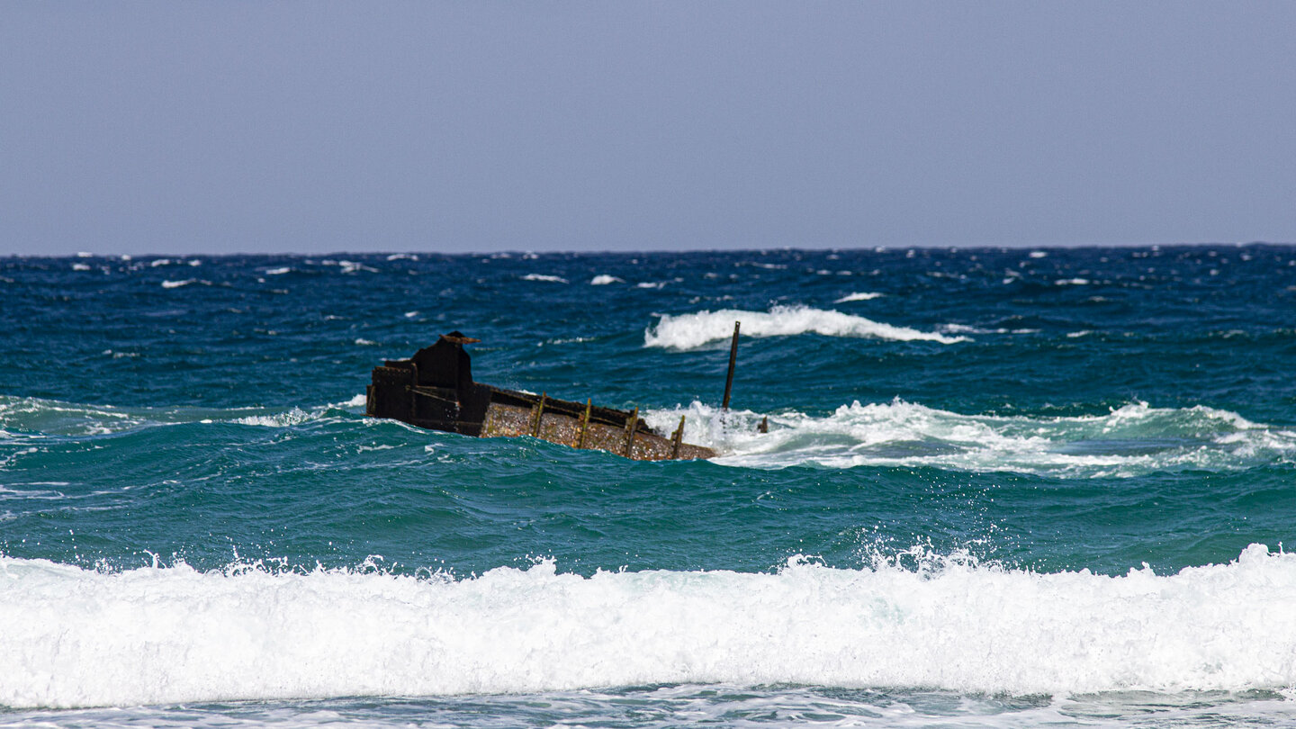 Reste des Schiffwracks der American Star bei Ebbe vor der Playa de Garcey auf Fuerteventura