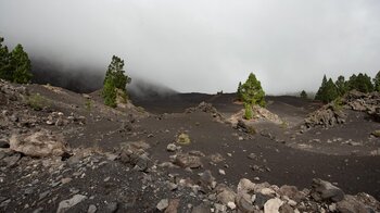 Vulkanfelder der Montaña Negra