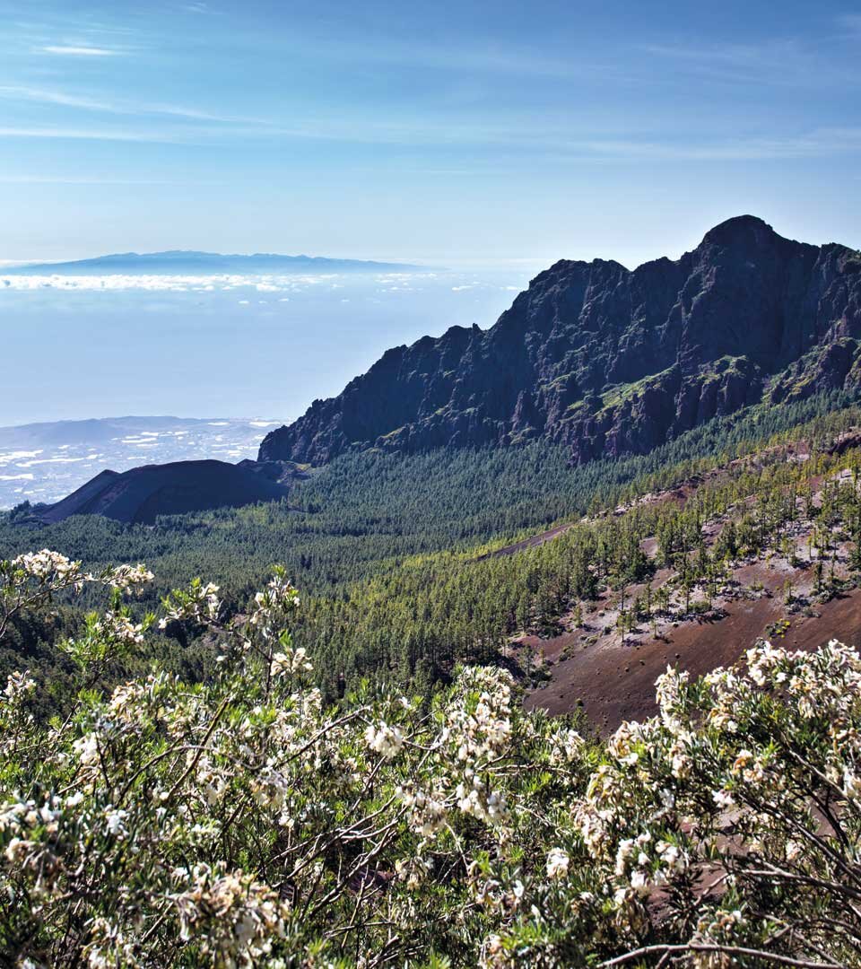 Vulkanlandschaft auf Teneriffa mit der Caldera Pedro Gil oberhalb von Arafo und Gran Canaria im Hintergrund