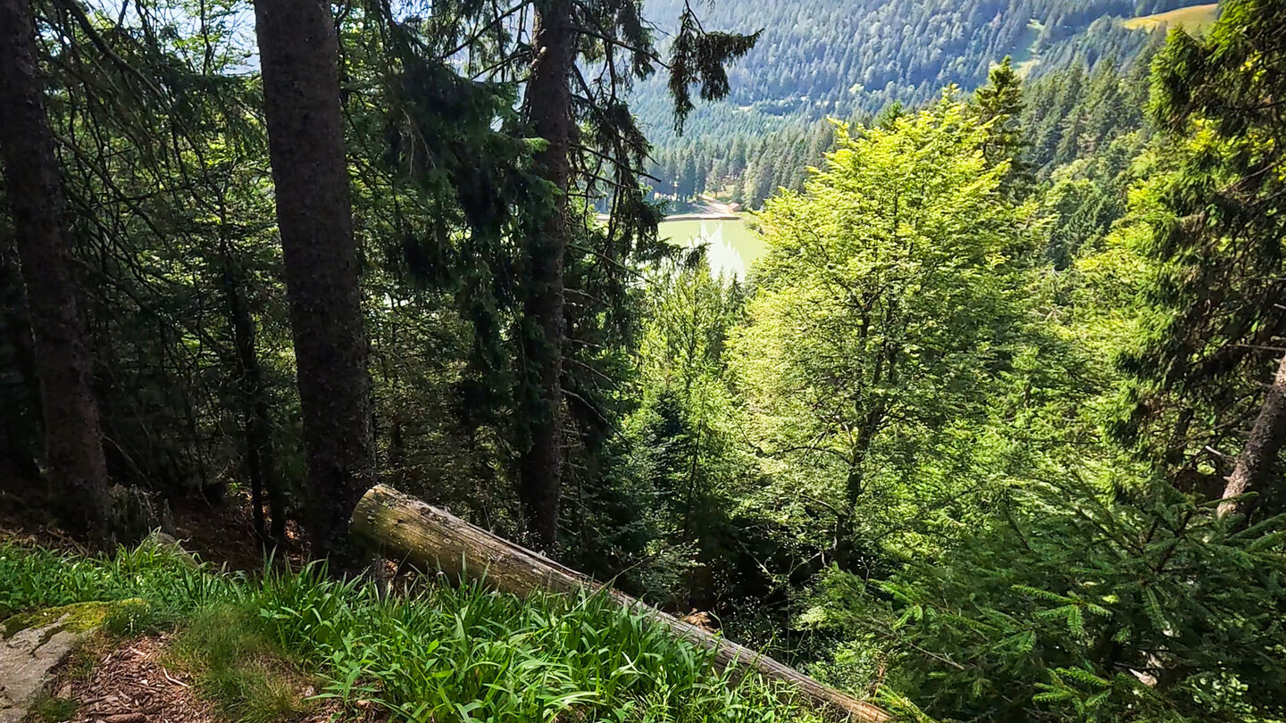 Wanderweg mit Ausblick auf Lac Vert