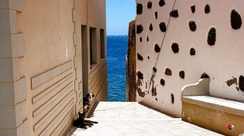 Gasse mit Meerblick in La Caleta