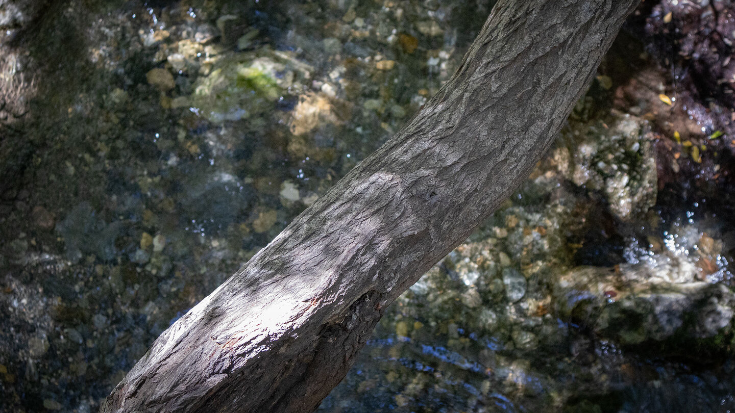 klares Wasser im Río Monachil