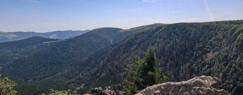 Ausblick auf die Spitzenfelsen mit Vogesen Panorama