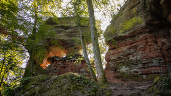 Aufstieg zu den Altschlossfelsen