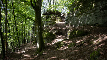 schattiger Wanderweg am Fuß der Felskette