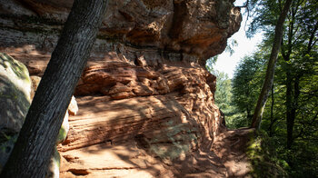 verzweigte Pfade zwischen den Felsen