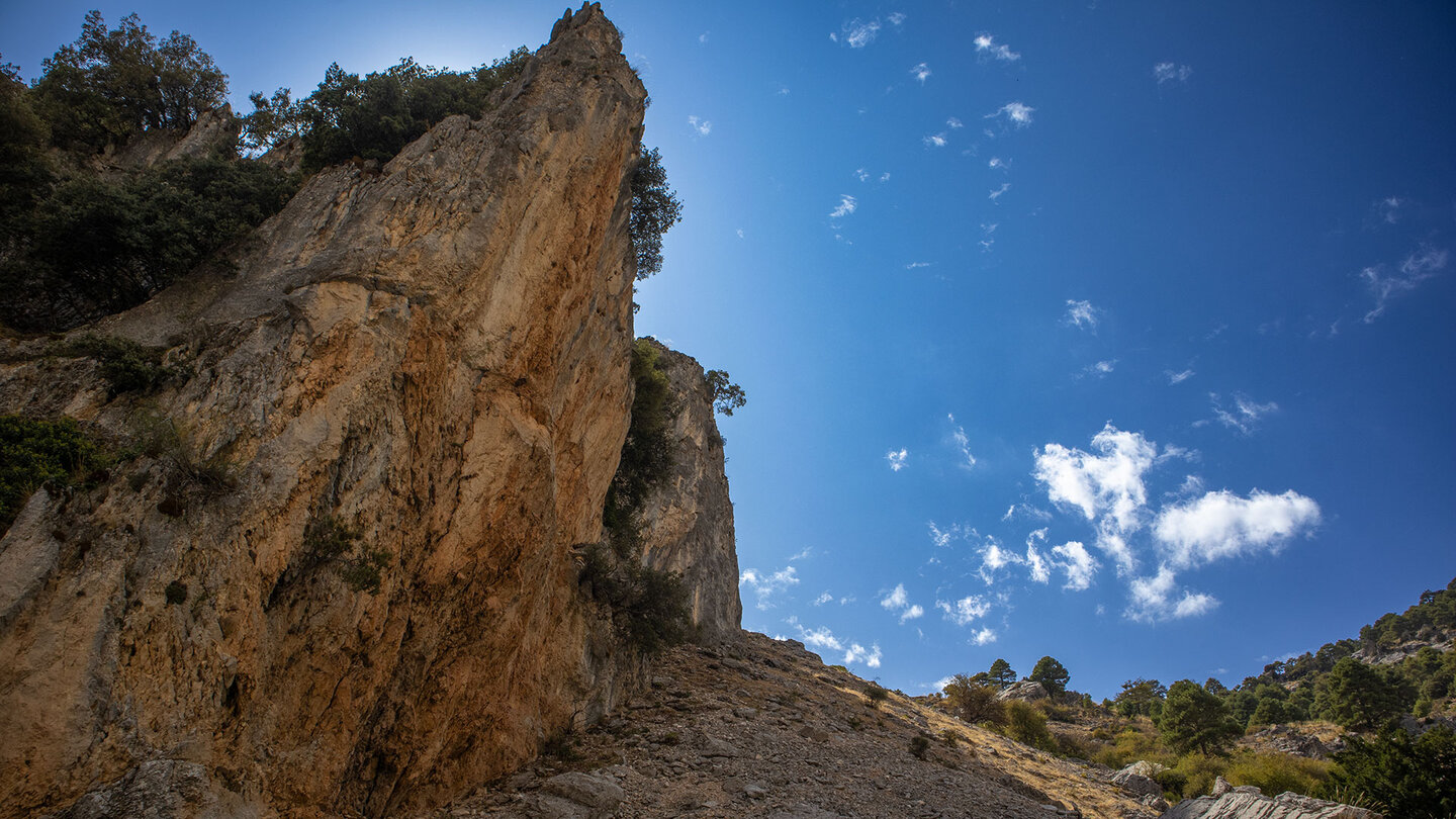 Wanderung auf die Anhöhe hinter der Osa-Schlucht