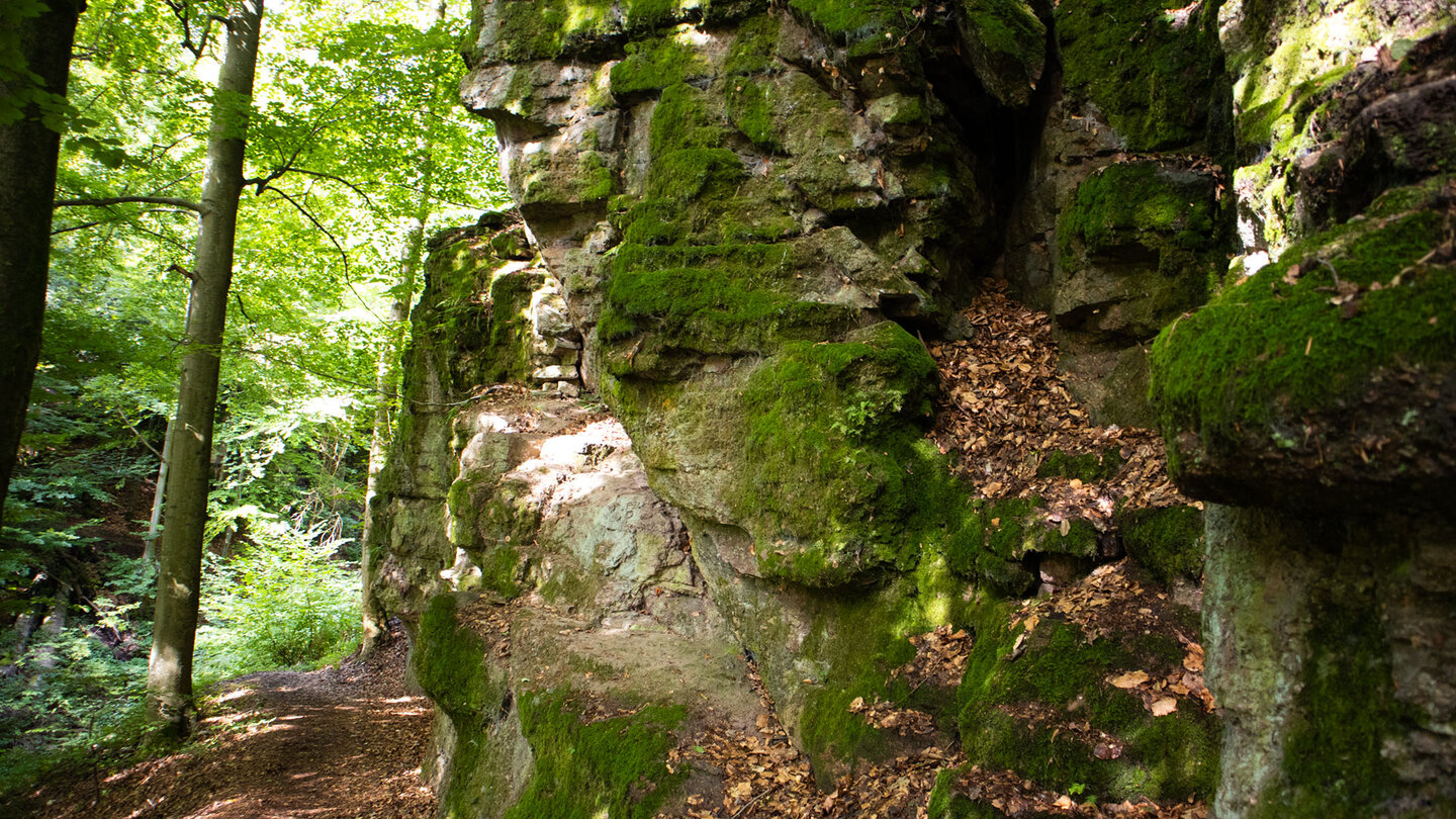 Wanderroute entlang der der Felswände in der Wolfsschlucht