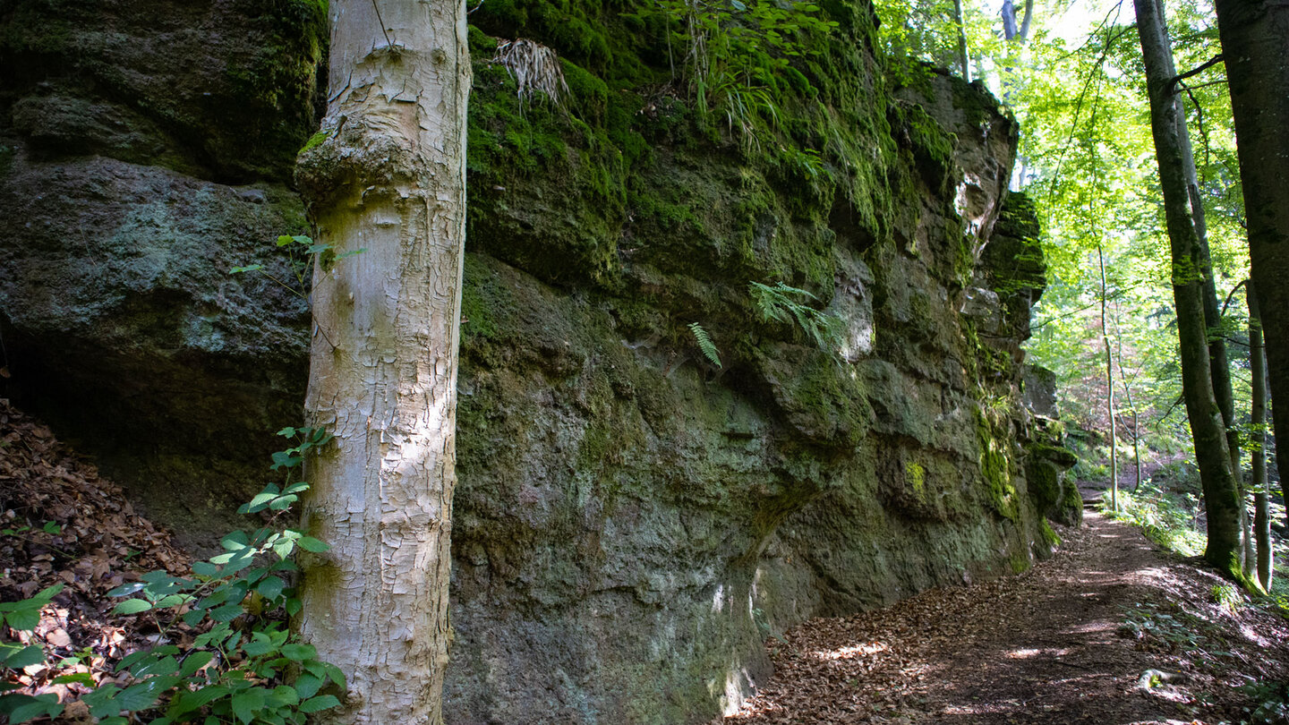 Wanderpfad durch die Wolfsschlucht