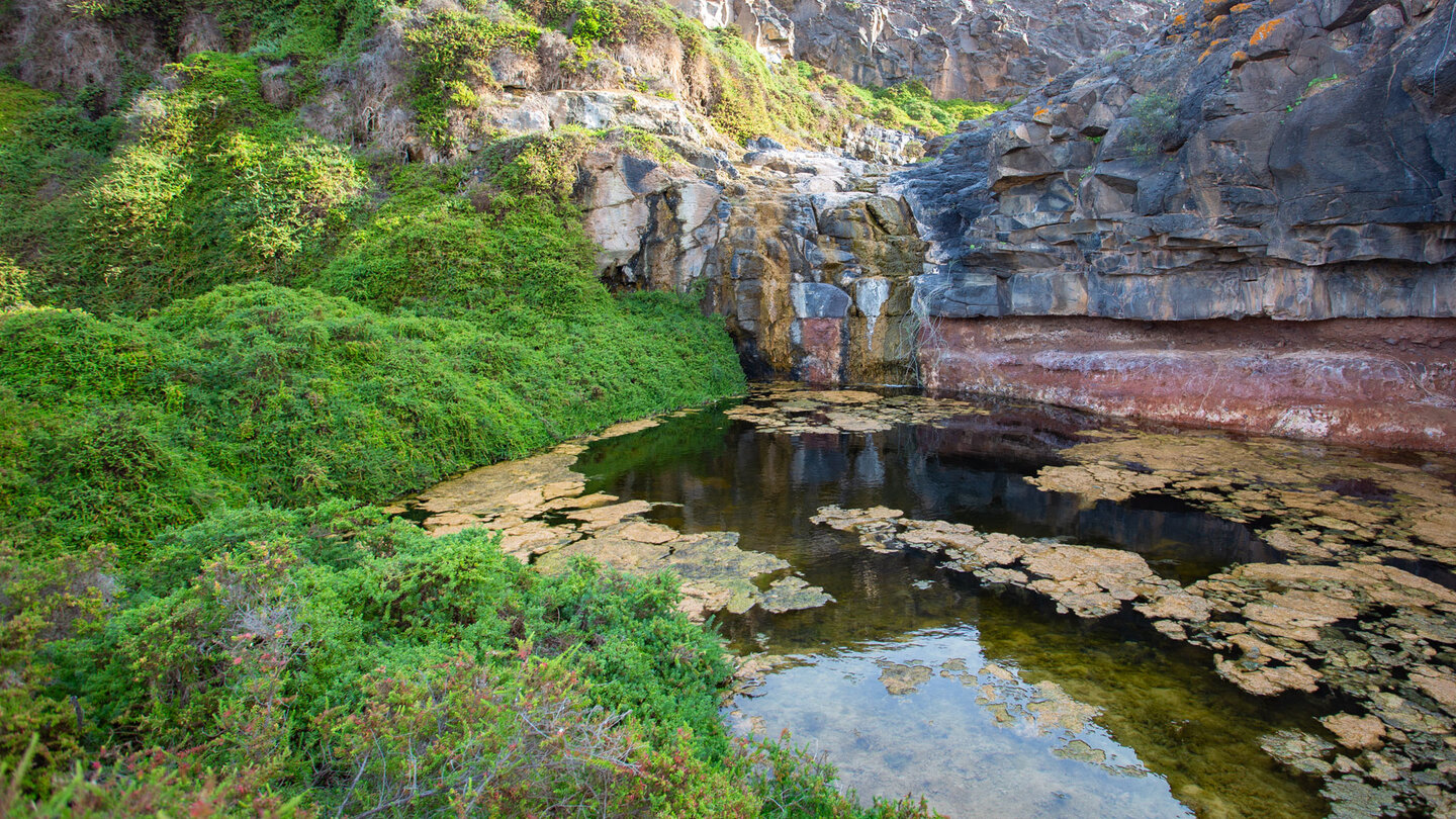 Seefläche im Barranco de los Molinos