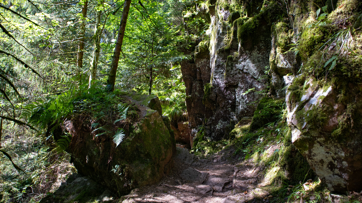 Felsformationen in der Röthenbachschlucht