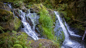 Großer Röthenbachwasserfall in der Röthenbachschlucht