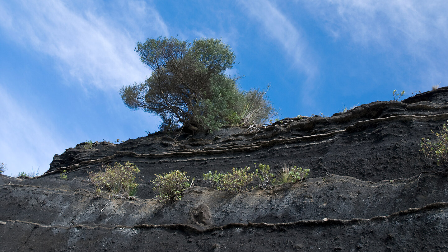 Lavaschichten am Rand der Caldera de Bandama auf Gran Canaria